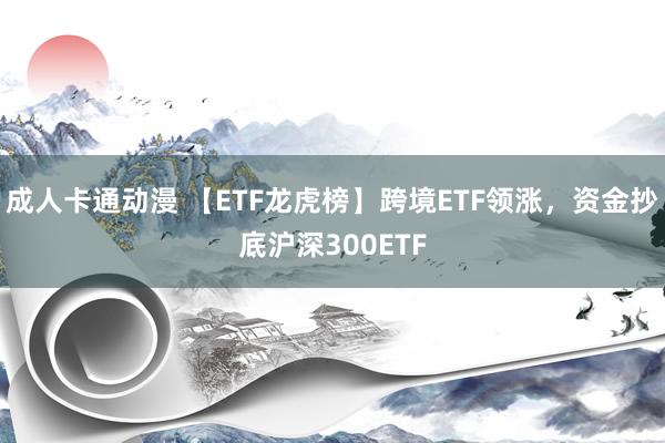 成人卡通动漫 【ETF龙虎榜】跨境ETF领涨，资金抄底沪深300ETF