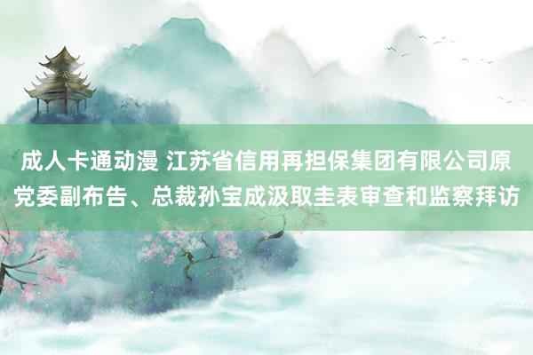 成人卡通动漫 江苏省信用再担保集团有限公司原党委副布告、总裁孙宝成汲取圭表审查和监察拜访