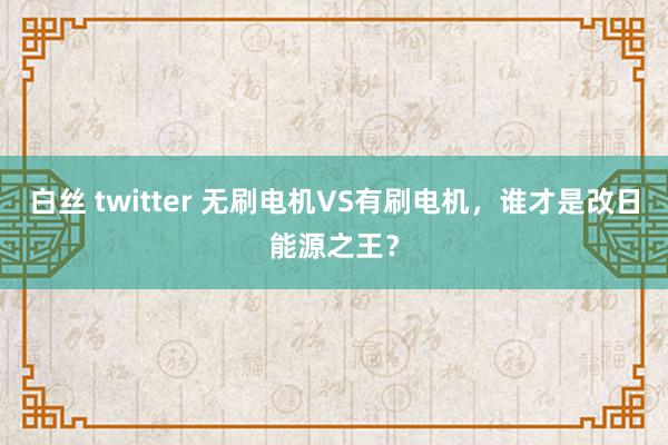 白丝 twitter 无刷电机VS有刷电机，谁才是改日能源之王？