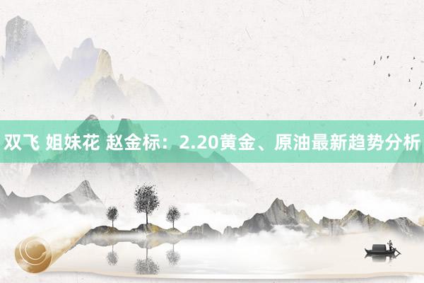 双飞 姐妹花 赵金标：2.20黄金、原油最新趋势分析